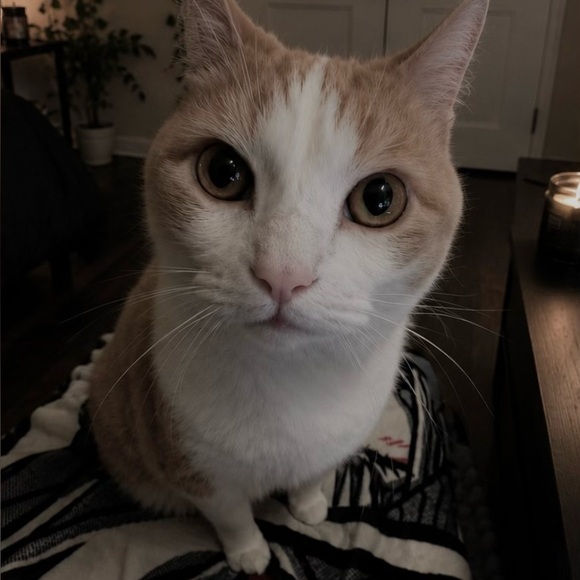 kahylee
